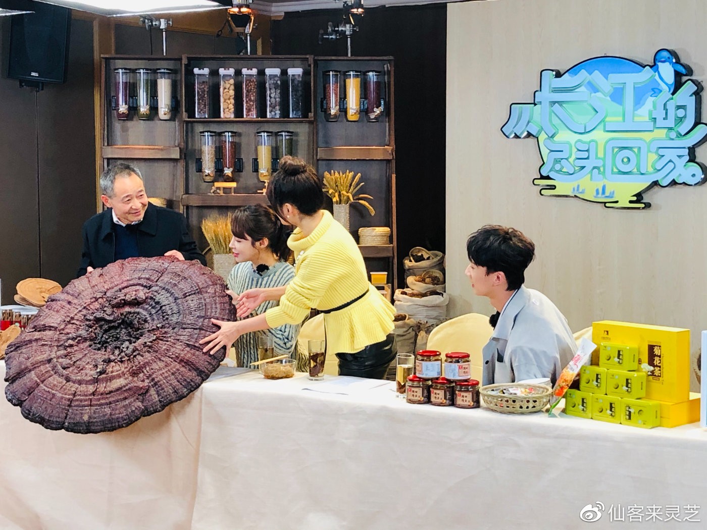 杭州亞運會官方靈芝產(chǎn)品供應(yīng)商|杭州亞運會官方供應(yīng)商|中國靈芝十大品牌|仙客來靈芝|仙客來靈芝破壁孢子粉|仙客來孢子油|仙客來靈芝飲片|仙客來破壁孢子粉|靈芝孢子油|孢子粉|靈芝破壁孢子粉|靈芝|中華老字號