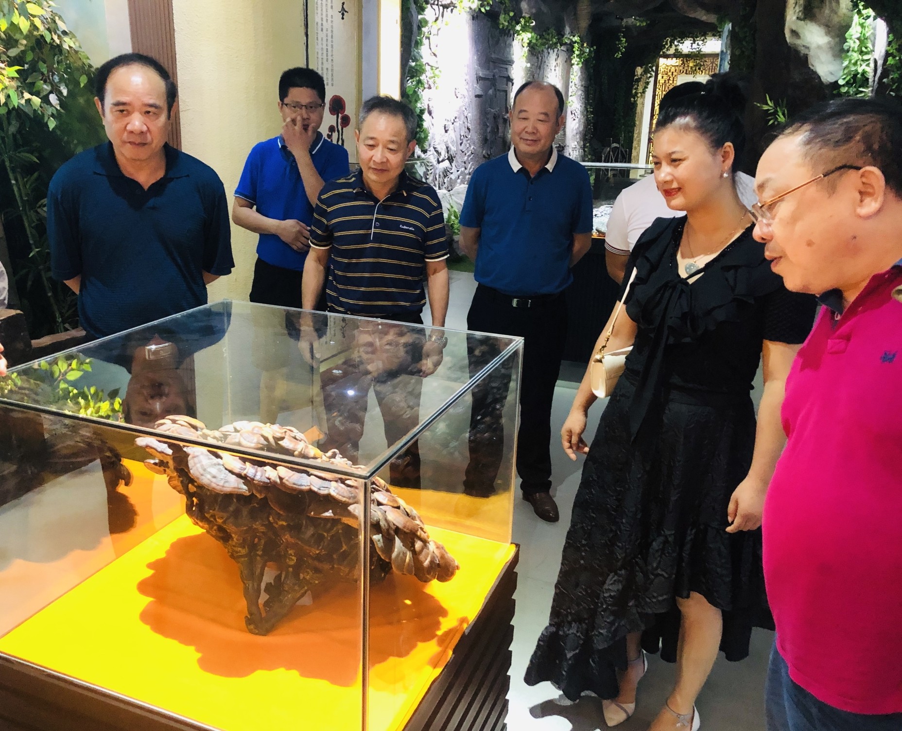 杭州亞運(yùn)會官方靈芝產(chǎn)品供應(yīng)商|杭州亞運(yùn)會官方供應(yīng)商|中國靈芝十大品牌|仙客來靈芝|仙客來靈芝破壁孢子粉|仙客來孢子油|仙客來靈芝飲片|仙客來破壁孢子粉|靈芝孢子油|孢子粉|靈芝破壁孢子粉|靈芝|中華老字號