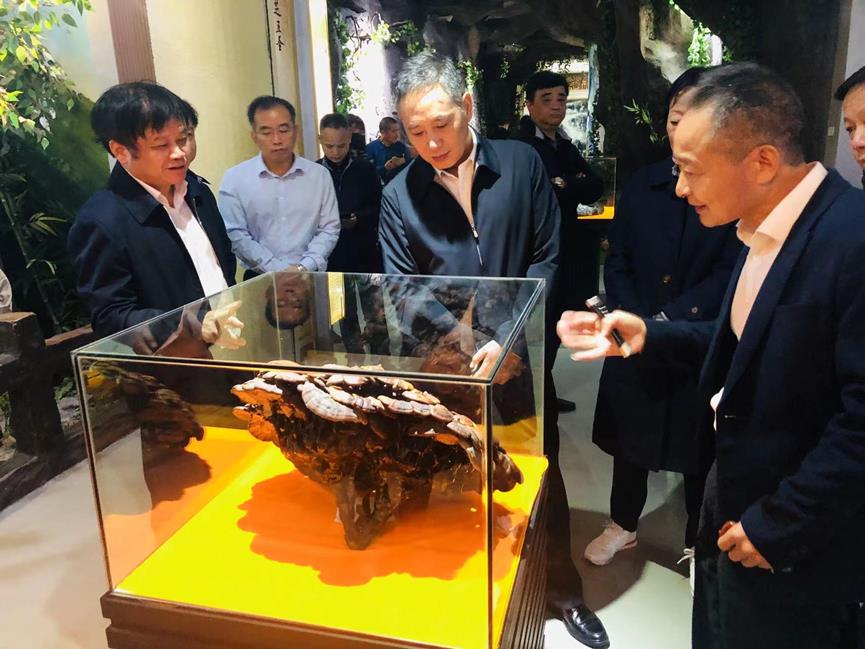 杭州亞運會官方靈芝產(chǎn)品供應商|杭州亞運會官方供應商|中國靈芝十大品牌|仙客來靈芝|仙客來靈芝破壁孢子粉|仙客來孢子油|仙客來靈芝飲片|仙客來破壁孢子粉|靈芝孢子油|孢子粉|靈芝破壁孢子粉|靈芝|中華老字號