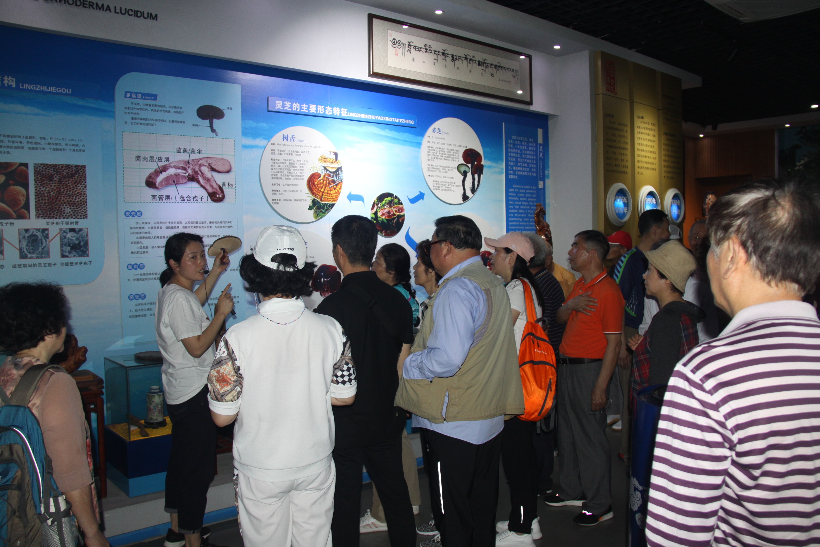 杭州亞運(yùn)會(huì)官方靈芝產(chǎn)品供應(yīng)商|杭州亞運(yùn)會(huì)官方供應(yīng)商|中國靈芝十大品牌|仙客來靈芝|仙客來靈芝破壁孢子粉|仙客來孢子油|仙客來靈芝飲片|仙客來破壁孢子粉|靈芝孢子油|孢子粉|靈芝破壁孢子粉|靈芝|中華老字號(hào) 杭州亞運(yùn)會(huì)官方靈芝產(chǎn)品供應(yīng)商|杭州亞運(yùn)會(huì)官方供應(yīng)商|中國靈芝十大品牌|仙客來靈芝|仙客來靈芝破壁孢子粉|仙客來孢子油|仙客來靈芝飲片|仙客來破壁孢子粉|靈芝孢子油|孢子粉|靈芝破壁孢子粉|靈芝|中華老字號(hào)