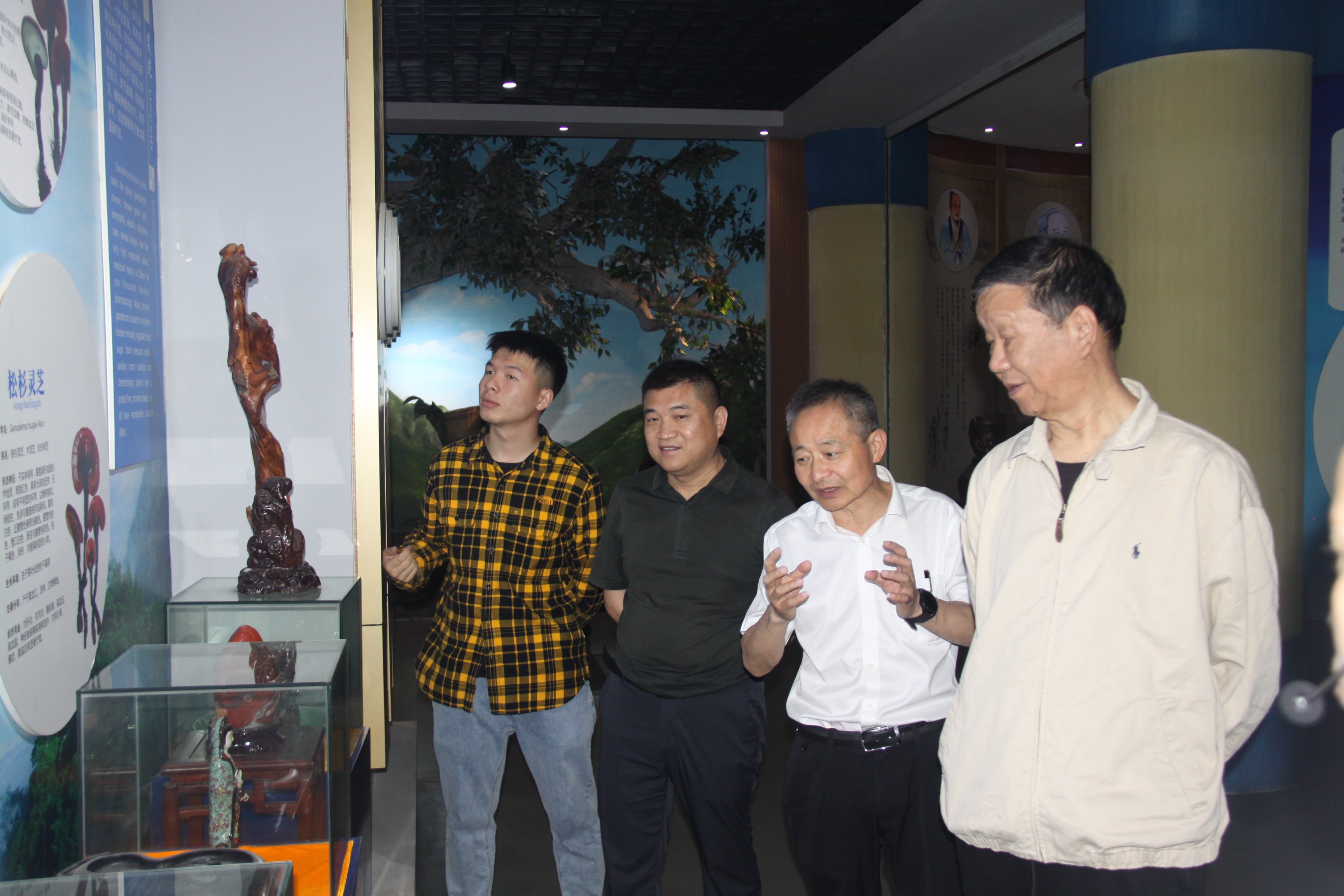 杭州亞運會官方靈芝產(chǎn)品供應(yīng)商|杭州亞運會官方供應(yīng)商|中國靈芝十大品牌|仙客來靈芝|仙客來靈芝破壁孢子粉|仙客來孢子油|仙客來靈芝飲片|仙客來破壁孢子粉|靈芝孢子油|孢子粉|靈芝破壁孢子粉|靈芝|中華老字號 杭州亞運會官方靈芝產(chǎn)品供應(yīng)商|杭州亞運會官方供應(yīng)商|中國靈芝十大品牌|仙客來靈芝|仙客來靈芝破壁孢子粉|仙客來孢子油|仙客來靈芝飲片|仙客來破壁孢子粉|靈芝孢子油|孢子粉|靈芝破壁孢子粉|靈芝|中華老字號