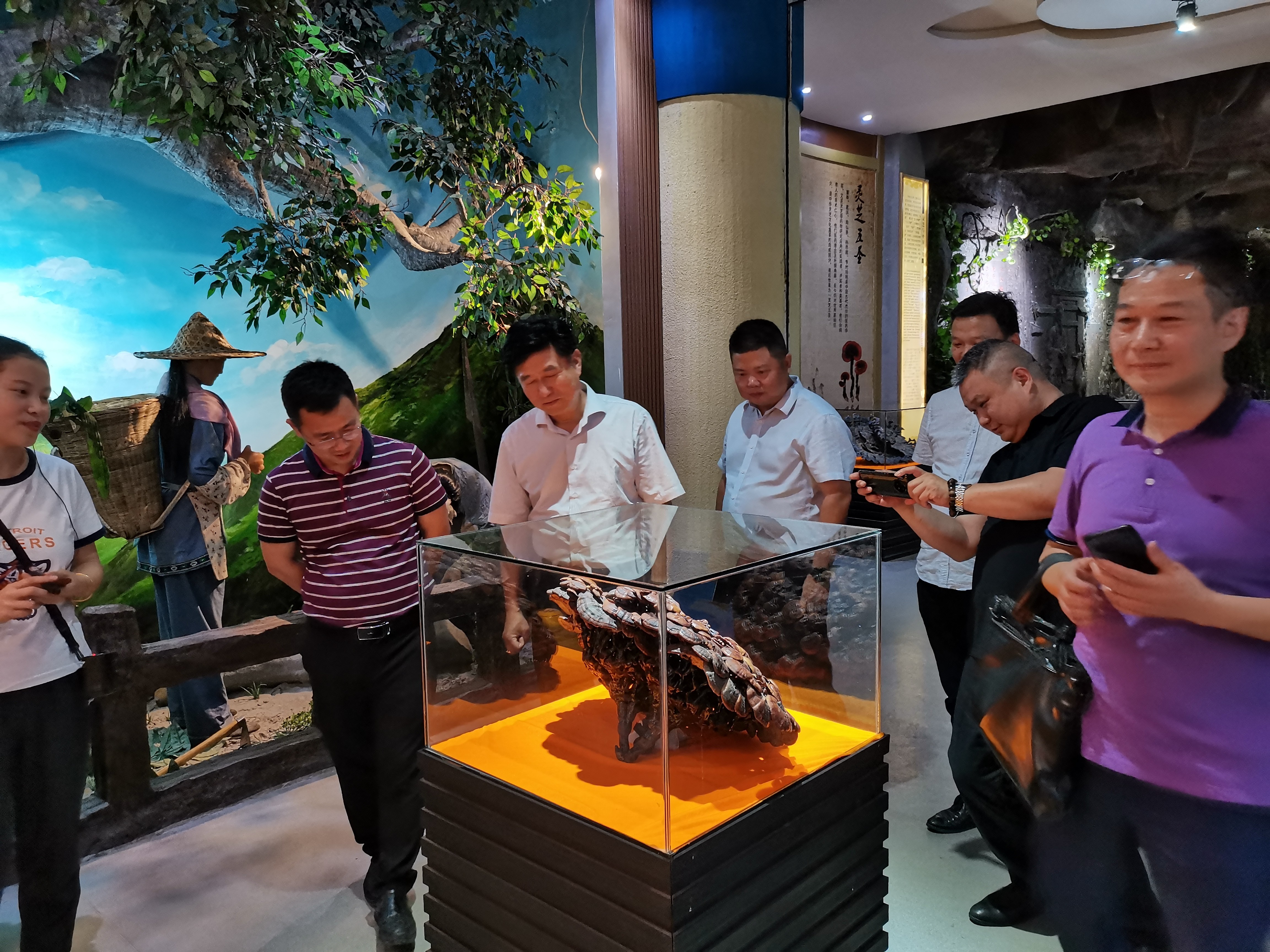 杭州亞運(yùn)會(huì)官方靈芝產(chǎn)品供應(yīng)商|杭州亞運(yùn)會(huì)官方供應(yīng)商|中國(guó)靈芝十大品牌|仙客來(lái)靈芝|仙客來(lái)靈芝破壁孢子粉|仙客來(lái)孢子油|仙客來(lái)靈芝飲片|仙客來(lái)破壁孢子粉|靈芝孢子油|孢子粉|靈芝破壁孢子粉|靈芝|中華老字號(hào)