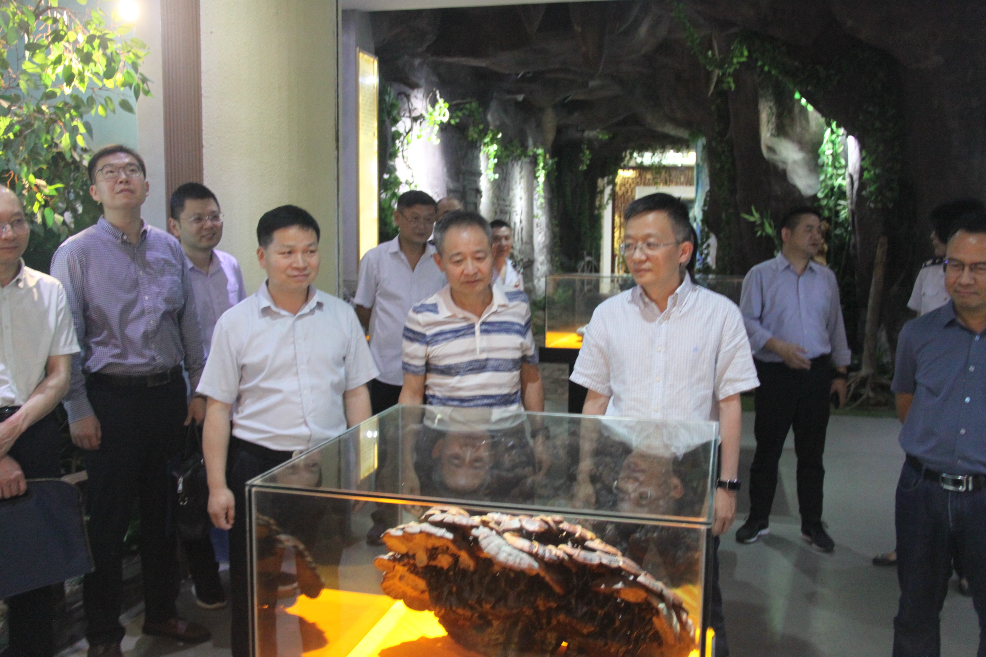 杭州亞運(yùn)會官方靈芝產(chǎn)品供應(yīng)商|杭州亞運(yùn)會官方供應(yīng)商|中國靈芝十大品牌|仙客來靈芝|仙客來靈芝破壁孢子粉|仙客來孢子油|仙客來靈芝飲片|仙客來破壁孢子粉|靈芝孢子油|孢子粉|靈芝破壁孢子粉|靈芝|中華老字號