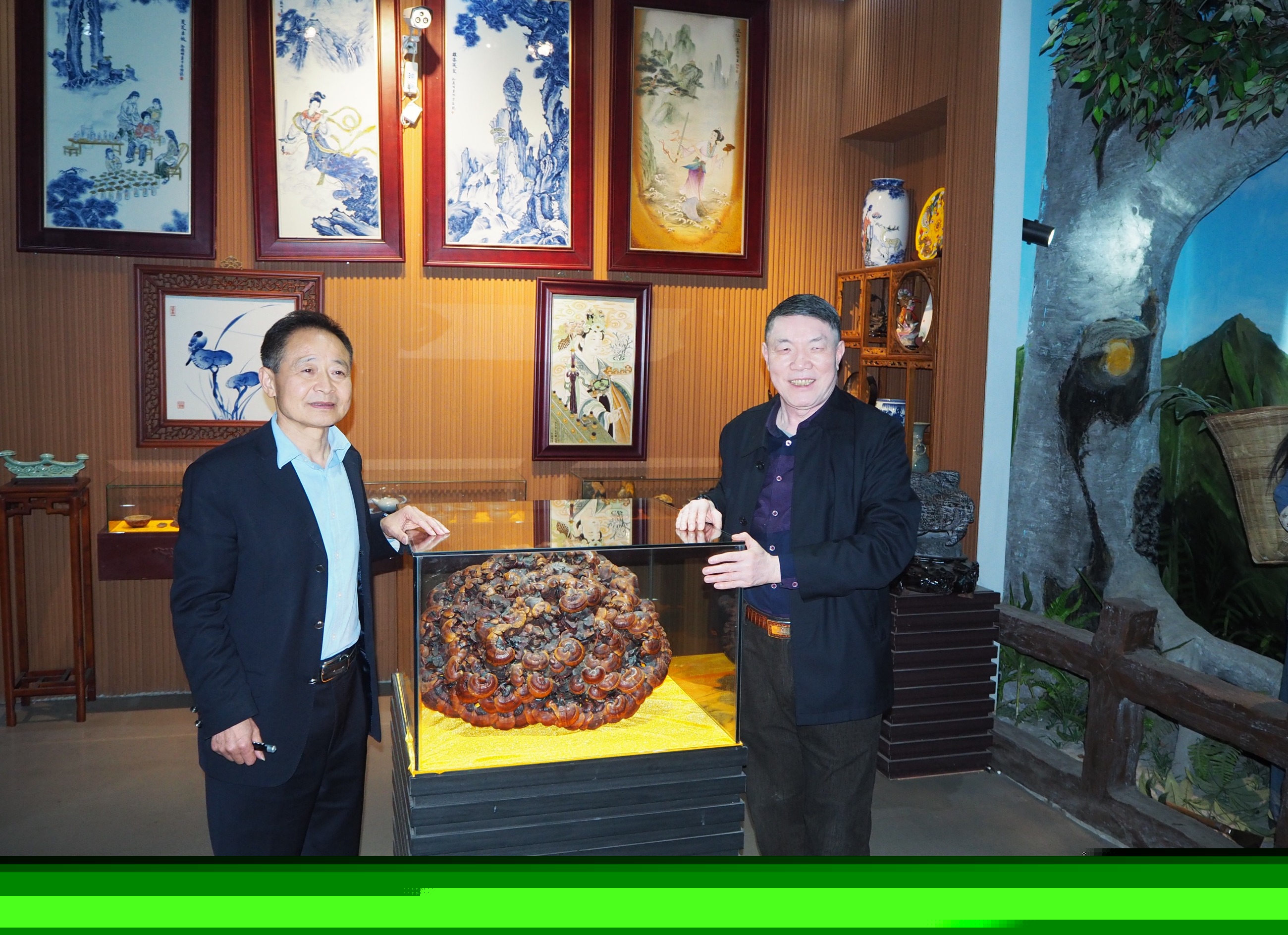 杭州亞運(yùn)會官方靈芝產(chǎn)品供應(yīng)商|杭州亞運(yùn)會官方供應(yīng)商|中國靈芝十大品牌|仙客來靈芝|仙客來靈芝破壁孢子粉|仙客來孢子油|仙客來靈芝飲片|仙客來破壁孢子粉|靈芝孢子油|孢子粉|靈芝破壁孢子粉|靈芝|中華老字號