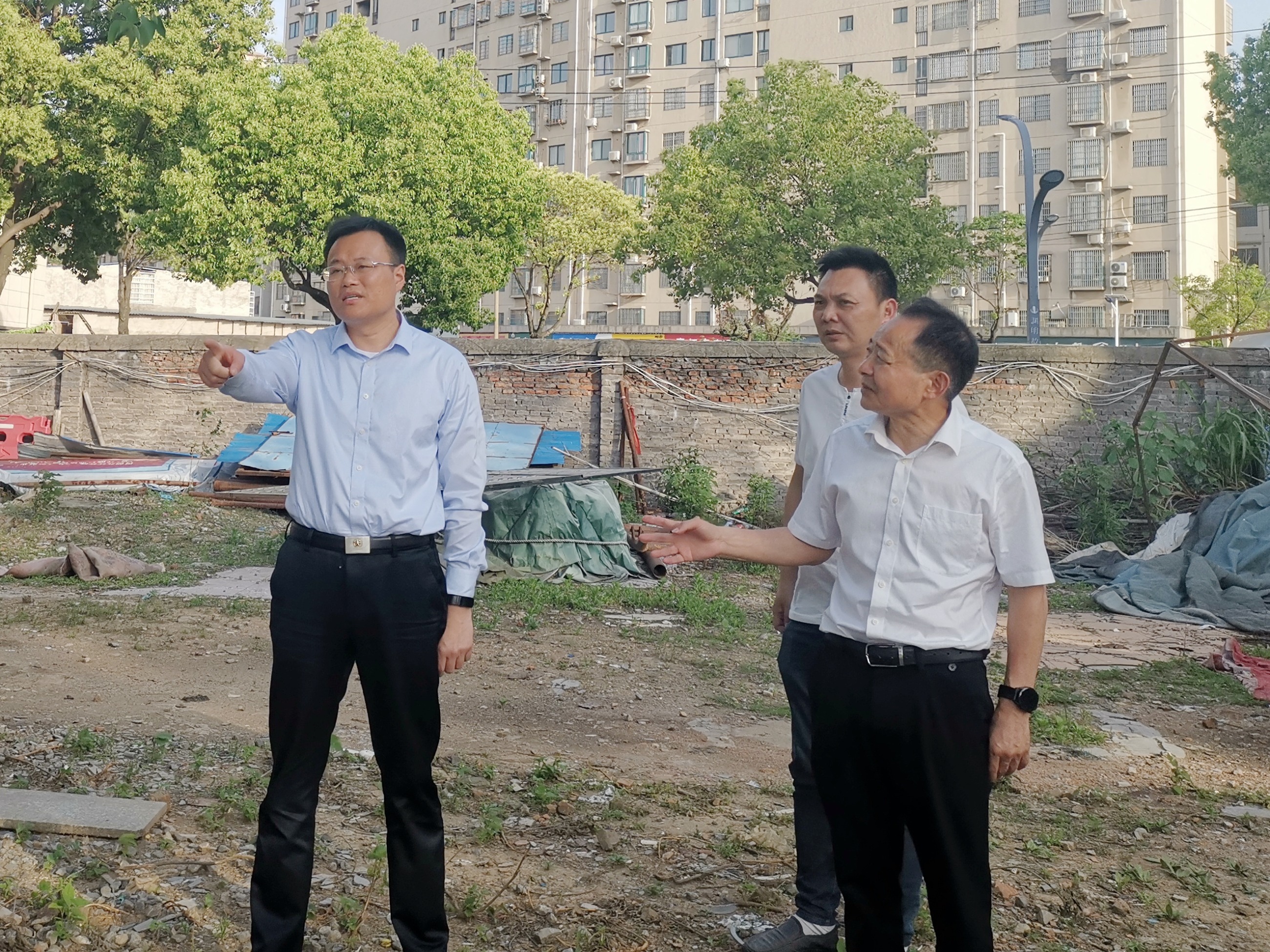 杭州亞運(yùn)會官方靈芝產(chǎn)品供應(yīng)商|杭州亞運(yùn)會官方供應(yīng)商|中國靈芝十大品牌|仙客來靈芝|仙客來靈芝破壁孢子粉|仙客來孢子油|仙客來靈芝飲片|仙客來破壁孢子粉|靈芝孢子油|孢子粉|靈芝破壁孢子粉|靈芝|中華老字號