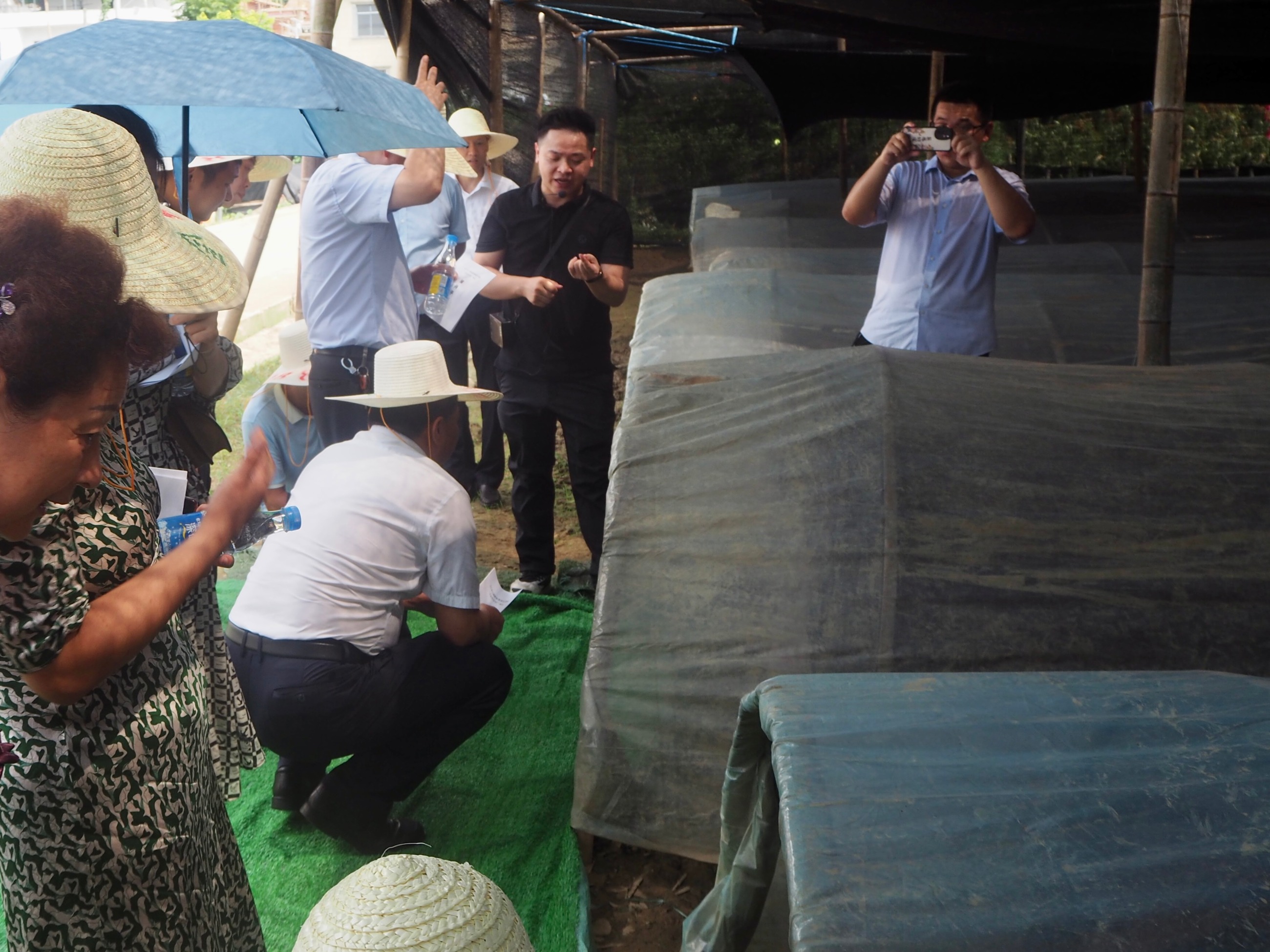 杭州亞運(yùn)會官方靈芝產(chǎn)品供應(yīng)商|杭州亞運(yùn)會官方供應(yīng)商|中國靈芝十大品牌|仙客來靈芝|仙客來靈芝破壁孢子粉|仙客來孢子油|仙客來靈芝飲片|仙客來破壁孢子粉|靈芝孢子油|孢子粉|靈芝破壁孢子粉|靈芝|中華老字號