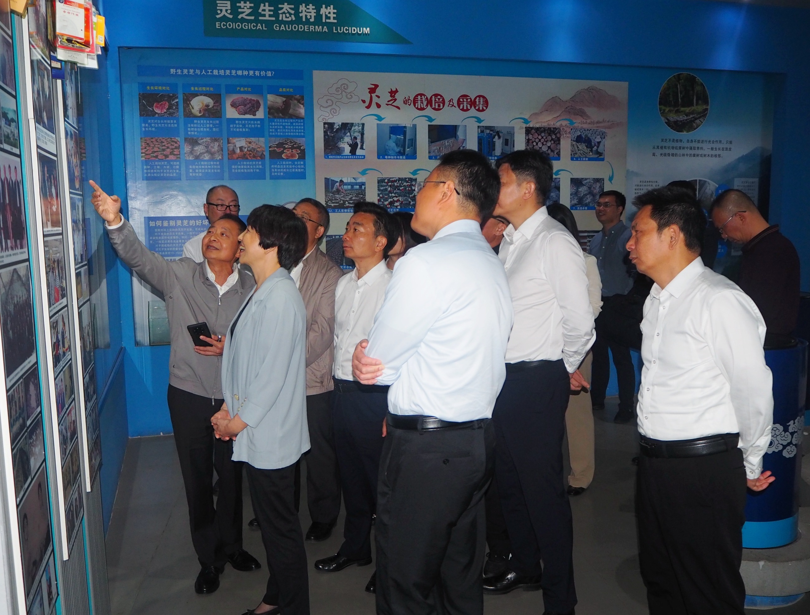 杭州亞運(yùn)會(huì)官方靈芝產(chǎn)品供應(yīng)商|杭州亞運(yùn)會(huì)官方供應(yīng)商|中國(guó)靈芝十大品牌|仙客來靈芝|仙客來靈芝破壁孢子粉|仙客來孢子油|仙客來靈芝飲片|仙客來破壁孢子粉|靈芝孢子油|孢子粉|靈芝破壁孢子粉|靈芝|中華老字號(hào)