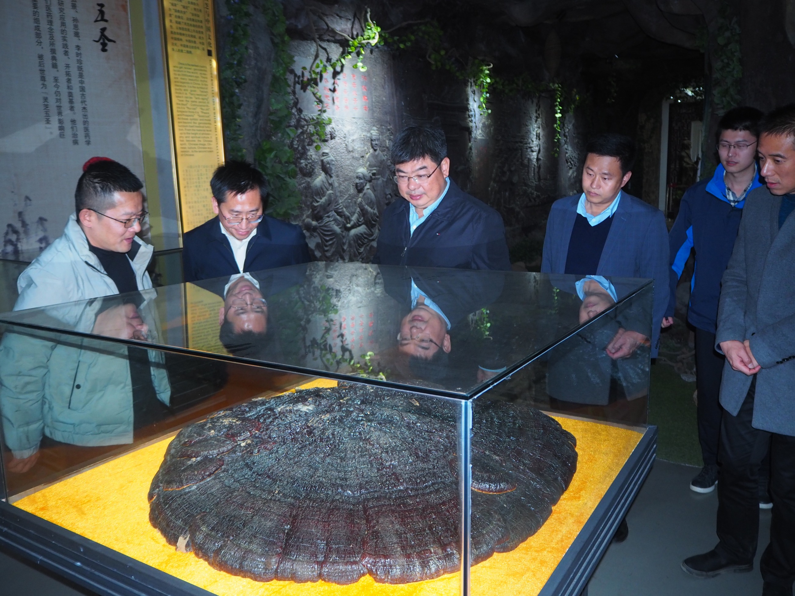 杭州亞運(yùn)會官方靈芝產(chǎn)品供應(yīng)商|杭州亞運(yùn)會官方供應(yīng)商|中國靈芝十大品牌|仙客來靈芝|仙客來靈芝破壁孢子粉|仙客來孢子油|仙客來靈芝飲片|仙客來破壁孢子粉|靈芝孢子油|孢子粉|靈芝破壁孢子粉|靈芝|中華老字號