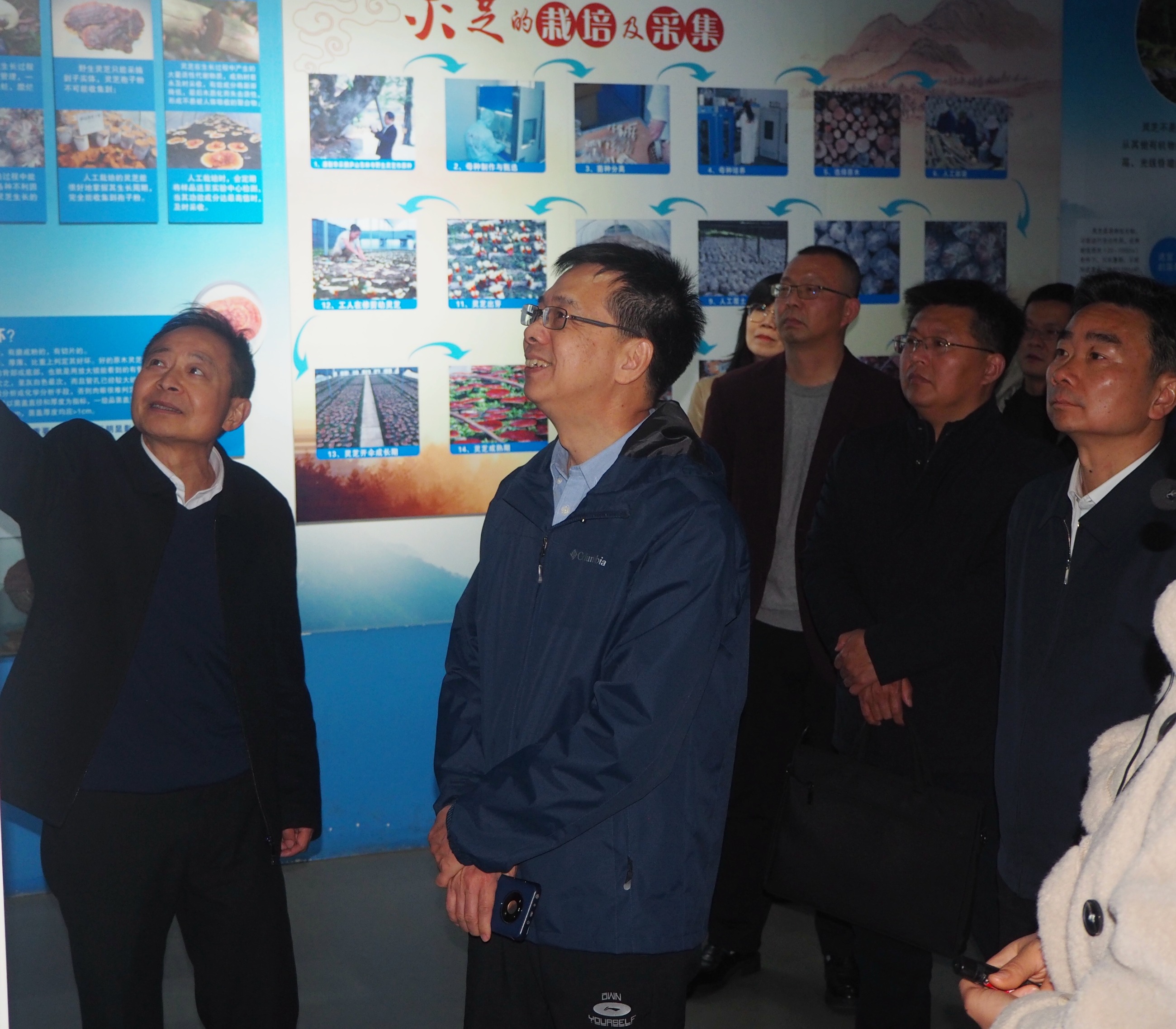 杭州亞運(yùn)會(huì)官方靈芝產(chǎn)品供應(yīng)商|杭州亞運(yùn)會(huì)官方供應(yīng)商|中國(guó)靈芝十大品牌|仙客來(lái)靈芝|仙客來(lái)靈芝破壁孢子粉|仙客來(lái)孢子油|仙客來(lái)靈芝飲片|仙客來(lái)破壁孢子粉|靈芝孢子油|孢子粉|靈芝破壁孢子粉|靈芝|中華老字號(hào)