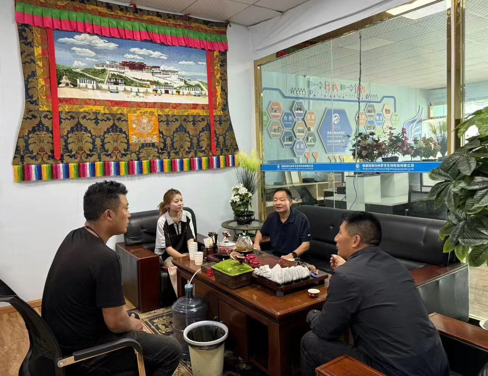 杭州亞運(yùn)會(huì)官方靈芝產(chǎn)品供應(yīng)商|杭州亞運(yùn)會(huì)官方供應(yīng)商|中國(guó)靈芝十大品牌|仙客來靈芝|仙客來靈芝破壁孢子粉|仙客來孢子油|仙客來靈芝飲片|仙客來破壁孢子粉|靈芝孢子油|孢子粉|靈芝破壁孢子粉|靈芝|中華老字號(hào)