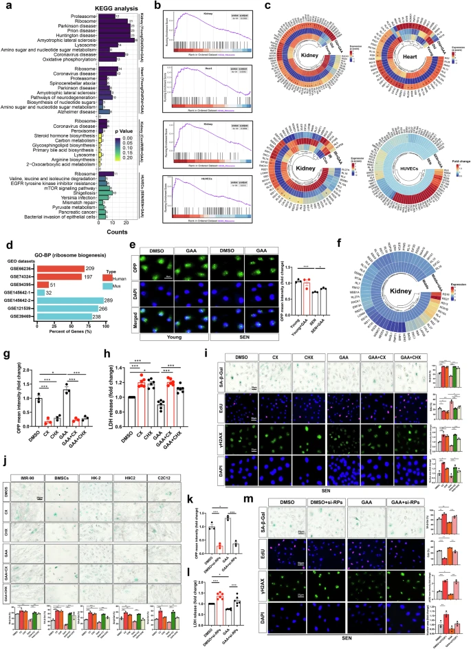 杭州亞運(yùn)會(huì)官方靈芝產(chǎn)品供應(yīng)商|杭州亞運(yùn)會(huì)官方供應(yīng)商|中國(guó)靈芝十大品牌|仙客來(lái)靈芝|仙客來(lái)靈芝破壁孢子粉|仙客來(lái)孢子油|仙客來(lái)靈芝飲片|仙客來(lái)破壁孢子粉|靈芝孢子油|孢子粉|靈芝破壁孢子粉|靈芝|中華老字號(hào)