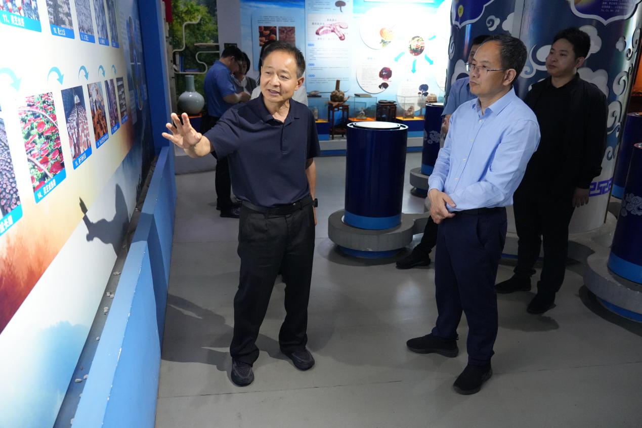 杭州亞運(yùn)會官方靈芝產(chǎn)品供應(yīng)商|杭州亞運(yùn)會官方供應(yīng)商|中國靈芝十大品牌|仙客來靈芝|仙客來靈芝破壁孢子粉|仙客來孢子油|仙客來靈芝飲片|仙客來破壁孢子粉|靈芝孢子油|孢子粉|靈芝破壁孢子粉|靈芝|中華老字號 杭州亞運(yùn)會官方靈芝產(chǎn)品供應(yīng)商|杭州亞運(yùn)會官方供應(yīng)商|中國靈芝十大品牌|仙客來靈芝|仙客來靈芝破壁孢子粉|仙客來孢子油|仙客來靈芝飲片|仙客來破壁孢子粉|靈芝孢子油|孢子粉|靈芝破壁孢子粉|靈芝|中華老字號