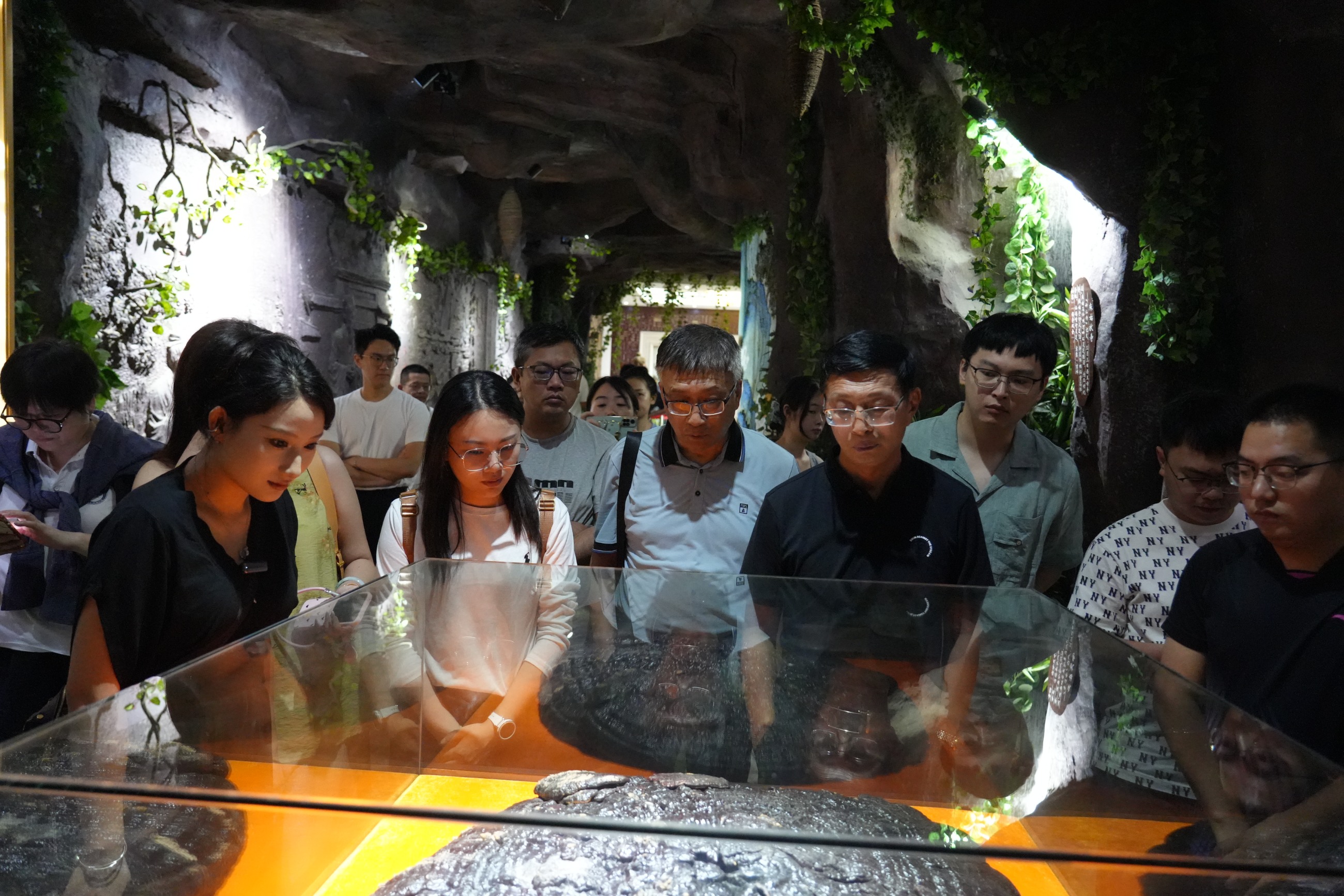 杭州亞運(yùn)會(huì)官方靈芝產(chǎn)品供應(yīng)商|杭州亞運(yùn)會(huì)官方供應(yīng)商|中國靈芝十大品牌|仙客來靈芝|仙客來靈芝破壁孢子粉|仙客來孢子油|仙客來靈芝飲片|仙客來破壁孢子粉|靈芝孢子油|孢子粉|靈芝破壁孢子粉|靈芝|中華老字號(hào) 杭州亞運(yùn)會(huì)官方靈芝產(chǎn)品供應(yīng)商|杭州亞運(yùn)會(huì)官方供應(yīng)商|中國靈芝十大品牌|仙客來靈芝|仙客來靈芝破壁孢子粉|仙客來孢子油|仙客來靈芝飲片|仙客來破壁孢子粉|靈芝孢子油|孢子粉|靈芝破壁孢子粉|靈芝|中華老字號(hào)