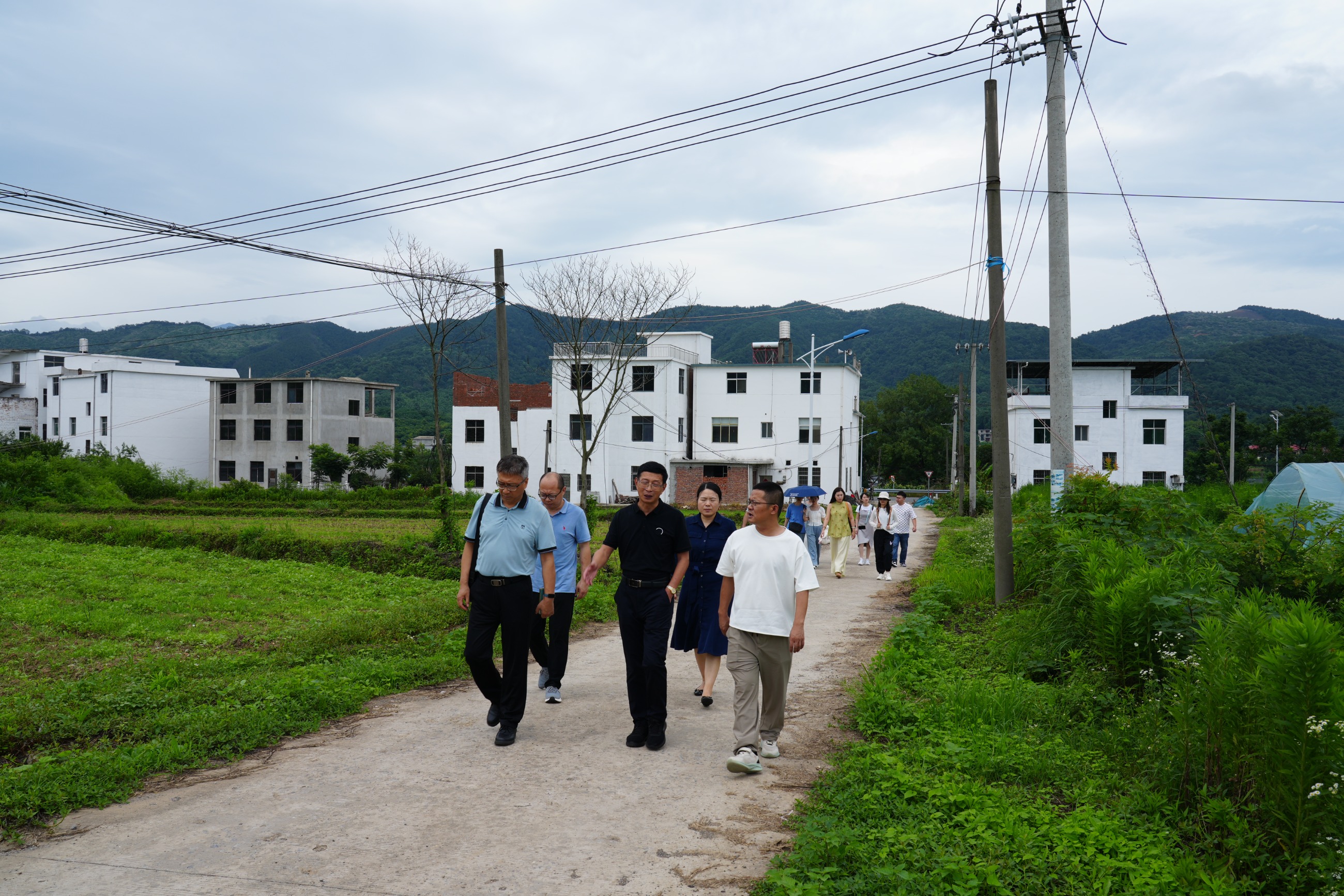 杭州亞運(yùn)會(huì)官方靈芝產(chǎn)品供應(yīng)商|杭州亞運(yùn)會(huì)官方供應(yīng)商|中國靈芝十大品牌|仙客來靈芝|仙客來靈芝破壁孢子粉|仙客來孢子油|仙客來靈芝飲片|仙客來破壁孢子粉|靈芝孢子油|孢子粉|靈芝破壁孢子粉|靈芝|中華老字號(hào) 杭州亞運(yùn)會(huì)官方靈芝產(chǎn)品供應(yīng)商|杭州亞運(yùn)會(huì)官方供應(yīng)商|中國靈芝十大品牌|仙客來靈芝|仙客來靈芝破壁孢子粉|仙客來孢子油|仙客來靈芝飲片|仙客來破壁孢子粉|靈芝孢子油|孢子粉|靈芝破壁孢子粉|靈芝|中華老字號(hào)