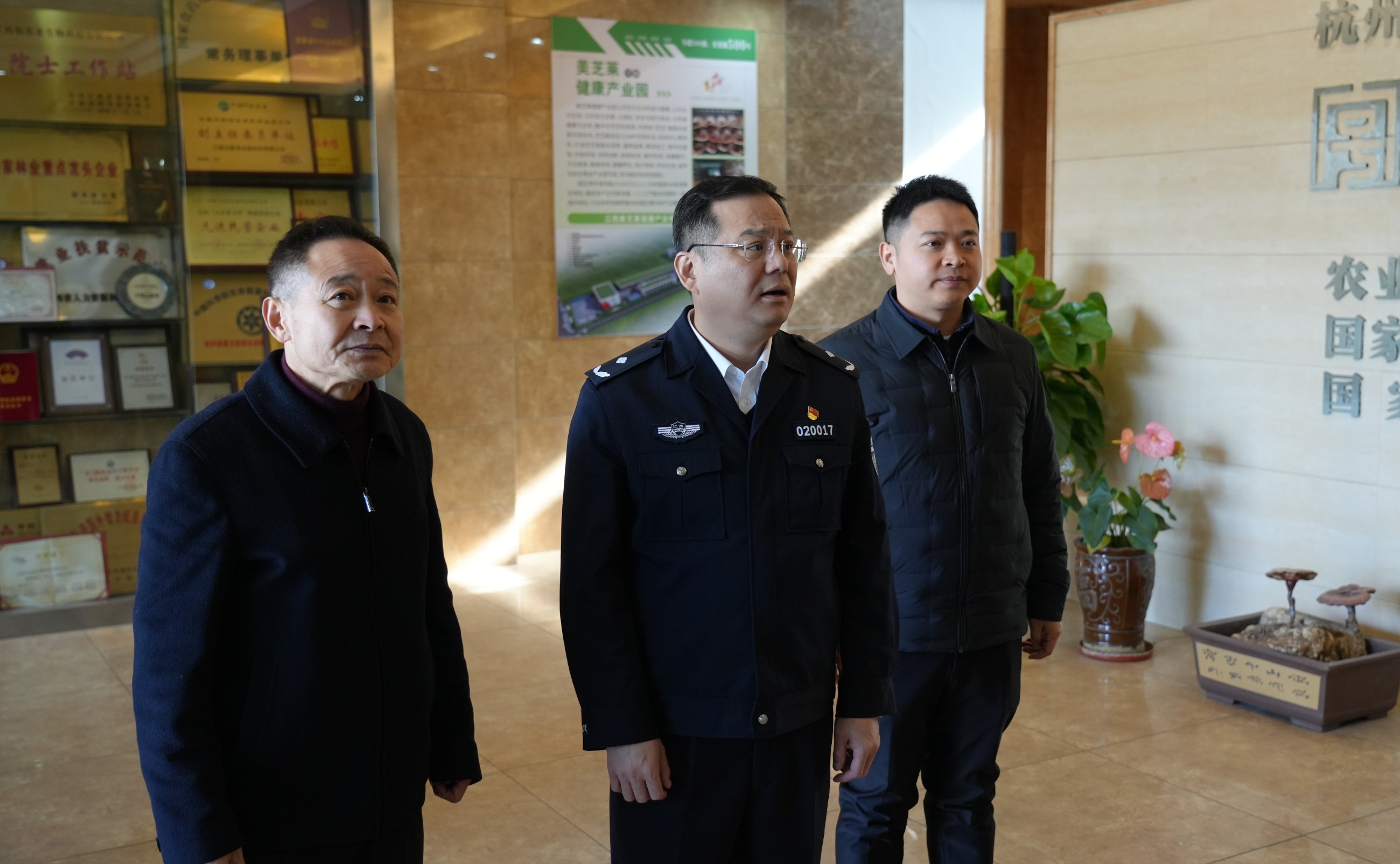 杭州亞運(yùn)會(huì)官方靈芝產(chǎn)品供應(yīng)商|杭州亞運(yùn)會(huì)官方供應(yīng)商|中國(guó)靈芝十大品牌|仙客來(lái)靈芝|仙客來(lái)靈芝破壁孢子粉|仙客來(lái)孢子油|仙客來(lái)靈芝飲片|仙客來(lái)破壁孢子粉|靈芝孢子油|孢子粉|靈芝破壁孢子粉|靈芝|中華老字號(hào)