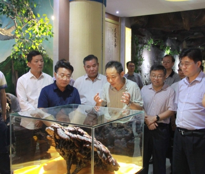 &ldquo;降成本，優(yōu)環(huán)境&rdquo;助企業(yè)騰飛&mdash;&mdash;江西省政協(xié)副主席率團(tuán)調(diào)研仙客來！