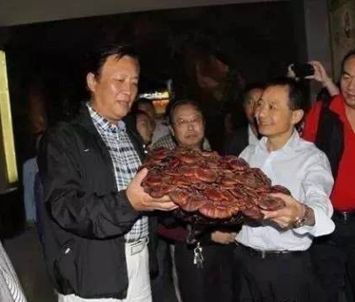 這樣過三月才是人生贏家！