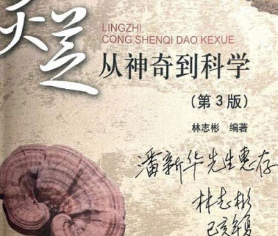 健康“芝”食-香噴噴靈芝豬蹄湯