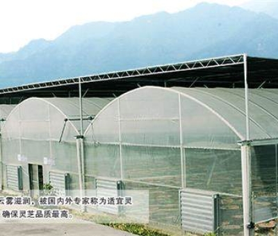 廬山環(huán)境孕育名優(yōu)特產(chǎn)