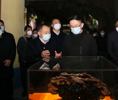 市委書記劉文華蒞臨仙客來公司調研指導