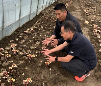 助力少數(shù)民族地區(qū)發(fā)展！潘新華應(yīng)邀前往西藏拉薩市和林芝市 共商產(chǎn)業(yè)發(fā)展良策